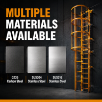 Échelle de sécurité industrielle personnalisée avec cage, échelle d'évacuation incendie, marches antidérapantes pour silo d'usine, tour, fabrication DIY ODM