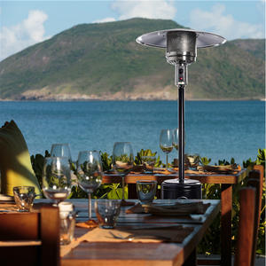 Lampes d'<span class=keywords><strong>extérieur</strong></span> Tube de verre Propane Terrasse Chauffe-terrasse au <span class=keywords><strong>gaz</strong></span> personnalisable - Product Image 5