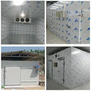 China fábrica mini frango coolroom quarto congelado congelador quartos frio armazenamento frio portátil para venda