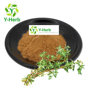 Thymus Vulgaris Mongolicus Serpyllum Extract Factory Price Organic Bulk 10:1 Thymian/Bai Li Xiang/Thyme Extract Powder
