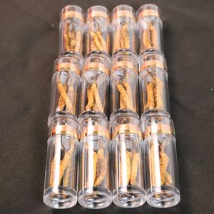 Natural Naqu <span class=keywords><strong>Cordyceps</strong></span> Tibet <span class=keywords><strong>Cordyceps</strong></span> Militaris Comida Orgânica Real Cogumelo <span class=keywords><strong>Cordyceps</strong></span> - Product Image 2