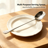 Cuillère de service en métal à long manche, poli miroir, en acier inoxydable 410, robuste, pour la restauration hôtelière et les buffets, vente en gros