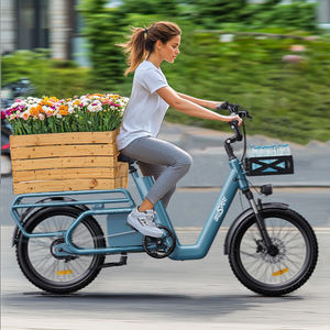 Bicicleta Eléctrica Ligera para Ciudad, Onesport OT01, Batería de Litio en el Buje Trasero, Portaequipajes Trasero Ancho, Capacidad de Carga de 150 kg, Envío a la UE - Product Image 1