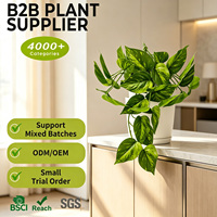 Guirlande de feuilles artificielles en plastique effet naturel, faible MOQ, 35 cm, non toxique, pour décoration murale intérieure, fausses plantes rampantes
