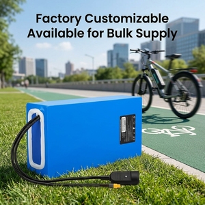 <span class=keywords><strong>Batterie</strong></span> de vélo électrique haute performance 12V 24V 36V <span class=keywords><strong>48V</strong></span> 60V 70V, pack de batteries pour tricycle électrique - Product Image 1