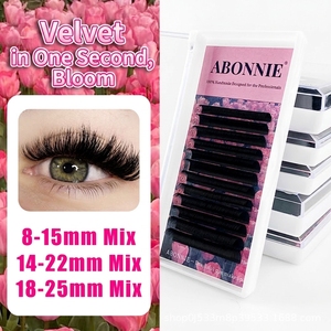 Extensions de cils volume Easy Fan DIY personnalisées, extensions de cils en velours noir mat, vente en gros, faux cils marque privée - Product Image 1