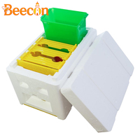 Nouvelles fournitures d'apiculture : Kit d'outils pour l'élevage des reines avec cadres en mousse et garantie d'un an – Ruche de récolte pour outils d'apiculteur