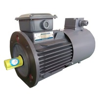 Moteur électrique asynchrone marin triphasé de série du rendement élevé 15kw YVF2 50Hz fréquence variable avec la régulation de vitesse