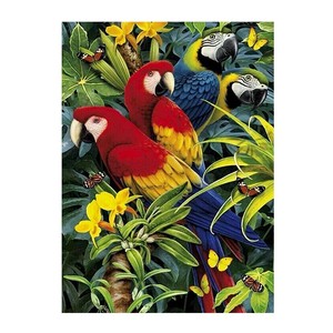 Fait main <span class=keywords><strong>perroquet</strong></span> 5d bricolage diamant peinture sans cadre - Product Image 2