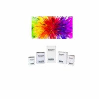 DEXIN Vernis Acrylique Transparent à Séchage Rapide et Haute Brillance pour Peinture Automobile et d'Appareils, Revêtement Liquide en Aérosol 1L/4L Modèle DX2200 Guangdong