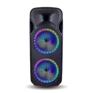 Hot selling High Power 150W Dual 12 inch Portable wireless bt Trolley Speaker Outdoor woofer with colorful light