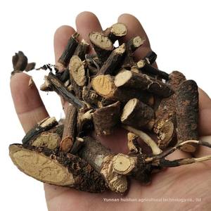 Vente en gros de racine de bardane d'os noir crue et séchée avec processus de séchage publicitaire Dropshipping disponible - Product Image 5