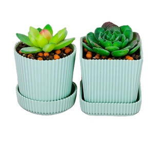 Dia.6.8cm H.7cm Mignon Petit Rond et Carré Coloré En Plastique Succulent Cactus <span class=keywords><strong>Bonsaï</strong></span> <span class=keywords><strong>Pot</strong></span> De Fleur <span class=keywords><strong>Avec</strong></span> Soucoupes - Product Image 2