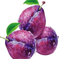 Hoogwaardige GMP ISO9001 Kosher Food Grade Zure Pruimenpoeder Natuurlijk Fruitextract Oplosmiddel-geëxtraheerd 100% Water Vacuüm Verpakt