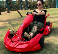Go-Kart de carreras eléctrico de 350W/800W para niños y adultos, coches de Karting alimentados por batería para carreras al aire libre