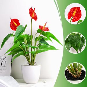 Bouquet d'Anthurium Rouge Artificiel Effet Naturel, 12 à 18 Têtes, Plante Verte Artificielle, Fleur Artificielle pour Décoration Intérieure Salon - Product Image 6