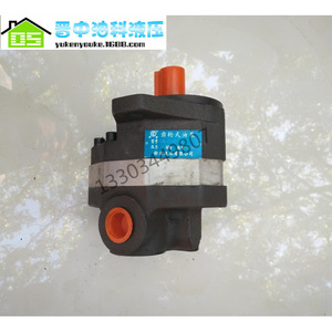 Pompe à engrenages hydraulique Yuci CB-FD31.5-FL à déplacement fixe, entraînement électrique - Product Image 4