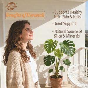 Cápsulas de Cola de Caballo de Marca Privada OEM ODM 1000 mg |   Suplemento de Extracto Herbal para el Cabello, la Piel, las Uñas y las Articulaciones Saludables, Vegano - Product Image 3