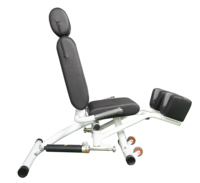 Appareil de musculation professionnel Leekon pour club de fitness, machine d'extension dorsale hydraulique pour femmes, chaise d'entraînement à domicile