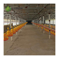 Équipement avicole automatique Paraguay, silo, mangeoire, abreuvoir, extracteur, panneau de refroidissement, contrôle, poulets, volailles, poulailler