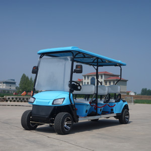 Chất lượng hàng đầu Mini Golf Cart xe đẩy với 2 4 6 chỗ ngồi Golf Cart - Product Image 3