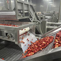 HRTY Hoge Efficiëntie Ondersteunende Aangepaste Fruit- en Groenteverwerkingsmachine voor Fabrieken