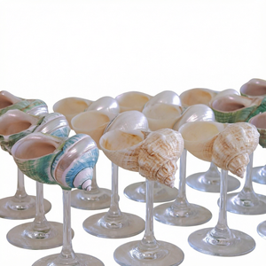 Copa de Vino de Concha Marina Natural Hecha a Mano, Reutilizable, Estilo Contemporáneo, Decorativa para Fiestas Tropicales, Bodas Costeras, Bar - Product Image 1
