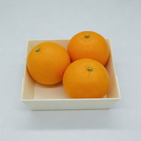Plateau alimentaire empilable en bois à faible MOQ, plateau de service pour desserts en bois naturel de qualité alimentaire pour petites entreprises, vente en gros