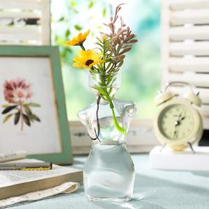 Newtay elegante jarrón <span class=keywords><strong>de</strong></span> cristal con silueta femenina para propagación <span class=keywords><strong>de</strong></span> <span class=keywords><strong>aguacate</strong></span> decoración del hogar bombillas esquejes <span class=keywords><strong>de</strong></span> plantas macetas para - Product Image 5