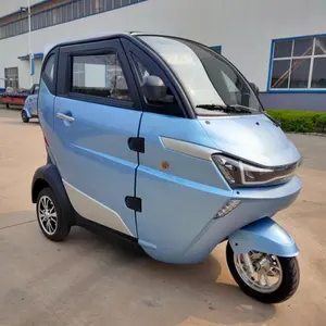 3 Wheel Electric Tricycle Motorcycle Adult Car