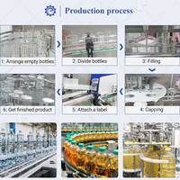 Machine de ligne de remplissage de liquide d'eau cosmétique de forme de bouteille en plastique automatique de joint de remplissage avec l'étiquetage de scellant