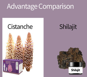 100% pur pour Cistanche Raw hommes supplément à base de plantes boisson mélange pour adultes Sachet boisson mélange suppléments à base de plantes fabricants VS Shila - Product Image 2