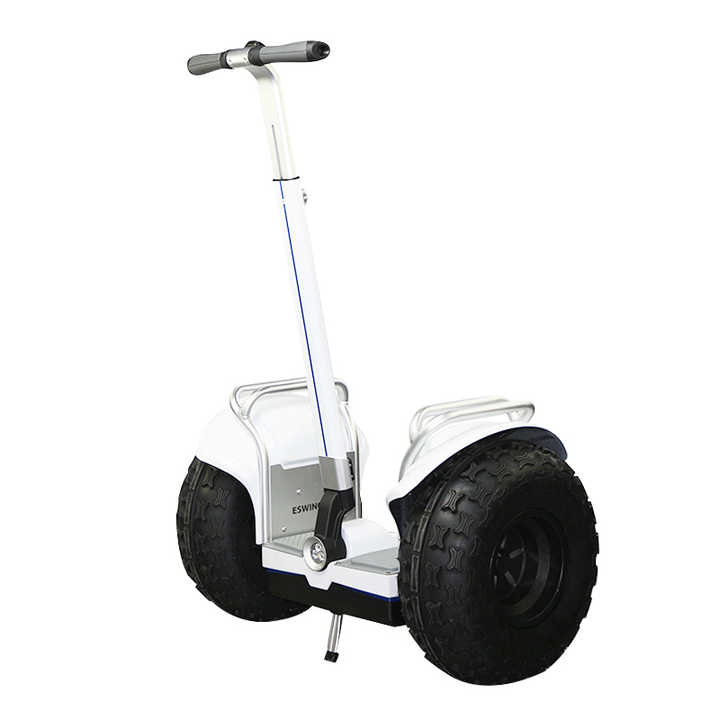 スケートボード Segway self balance scooter 10 inch スケートボード Segway self balance scooter 10 inch 10-Inch