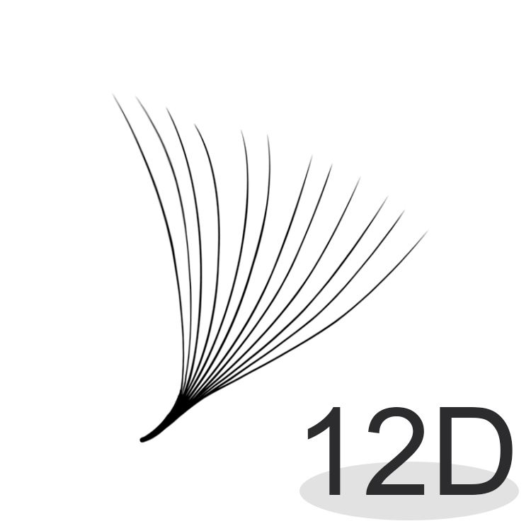 12D
