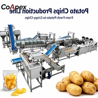 Machine à chips de patate douce certifiée CE, de pointe, avec support à vie