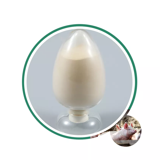 China Wholesale Animal Feed Grade L Tryptophan Feed Additives in Poultry Feed L Tryptophan