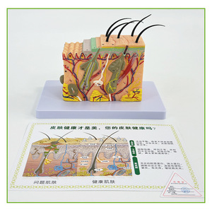35 - Product Image 2