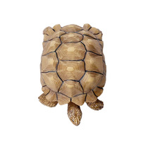 Figurine de tortue 2,5 cm en polyrésine, décoration de Collection, cadeau
