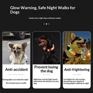 Correa y <span class=keywords><strong>Collar</strong></span> LED para Perro, Luminoso, Impermeable, Fácil de Limpiar, Recargable, Duradero, de Nailon, Ecológico, para Exteriores - Product Image 5