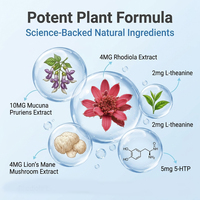 Lot de 30 patchs transdermiques de dopamine en gros, marque privée, pour le soutien quotidien de la motivation et de la concentration, suppléments de dopamine pour femmes