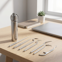 Ensemble de cure-dents en métal réutilisables portables HUFA avec support en acier inoxydable pour une utilisation de poche
