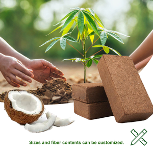 Briques de tourbe de coco à pH équilibré, stimulant la croissance racinaire, en fibres de coco, <span class=keywords><strong>30</strong></span> kg, pour substrat de grenouille des arbres et grenouille <span class=keywords><strong>Pac</strong></span>-<span class=keywords><strong>Man</strong></span> - Product Image 1