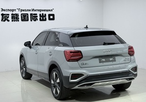Audi Q2L 1.4T Usado en Excelentes Condiciones, Pintura Original, Solo con Datos de Seguro, Puerta Trasera Derecha, 27 Años, Enero, Zhengzhou, Puede Entregarse en Cualquier Momento - Product Image 4