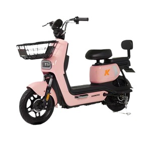 Mới Được Thiết Kế 350W Tốc Độ Cao Thành Phố Xe Đạp Điện Cho Người Lớn 48V 12Ah Pin Kỹ Thuật Số Thông Minh Xe Đạp Điện Tử Với Bàn Đạp - Product Image 5