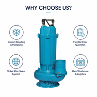 Pompe submersible professionnelle haute pression de 3 pouces pour le drainage des chantiers de construction, machine de drainage robuste 2HP-5HP 60Hz