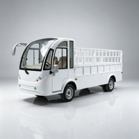 Bus utilitaire électrique de grande capacité à 2 places pour le transport de passagers, idéal pour les hôtels, les stations balnéaires, les entreprises et les excursions touristiques