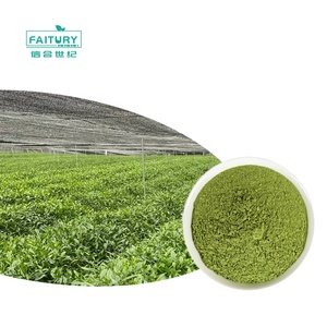 Faitury Wholesale <strong>Organic</strong> Ceremonial Grade 3A Matcha <strong>Powder</strong> - Product Image 1
