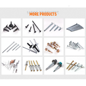 Chiodo a punta liscia con testa tonda per recinzioni Cyclone in ferro lucidato, con chiodo a chiocciola per pavimenti e chiodi per pallet - Product Image 5