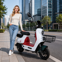 Vélo Électrique (E-Bike) 48V 350W à Moteur Arrière Brushless 3 Vitesses, Grande Vitesse, Longue Autonomie, Batterie Plomb-Acide, Vente Chaude Directe Usine
