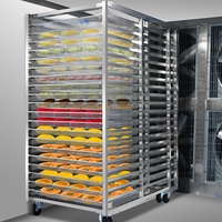 Industriële krachtige hetelucht droogoven voor fruit, zaden, zand, uien, vis, knoflook en voedsel.